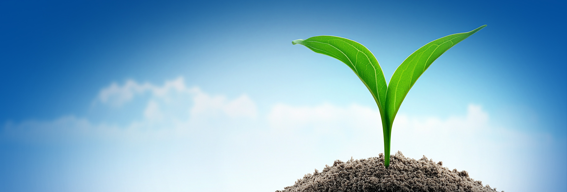 尊龙凯时·(中国)人生就是搏!